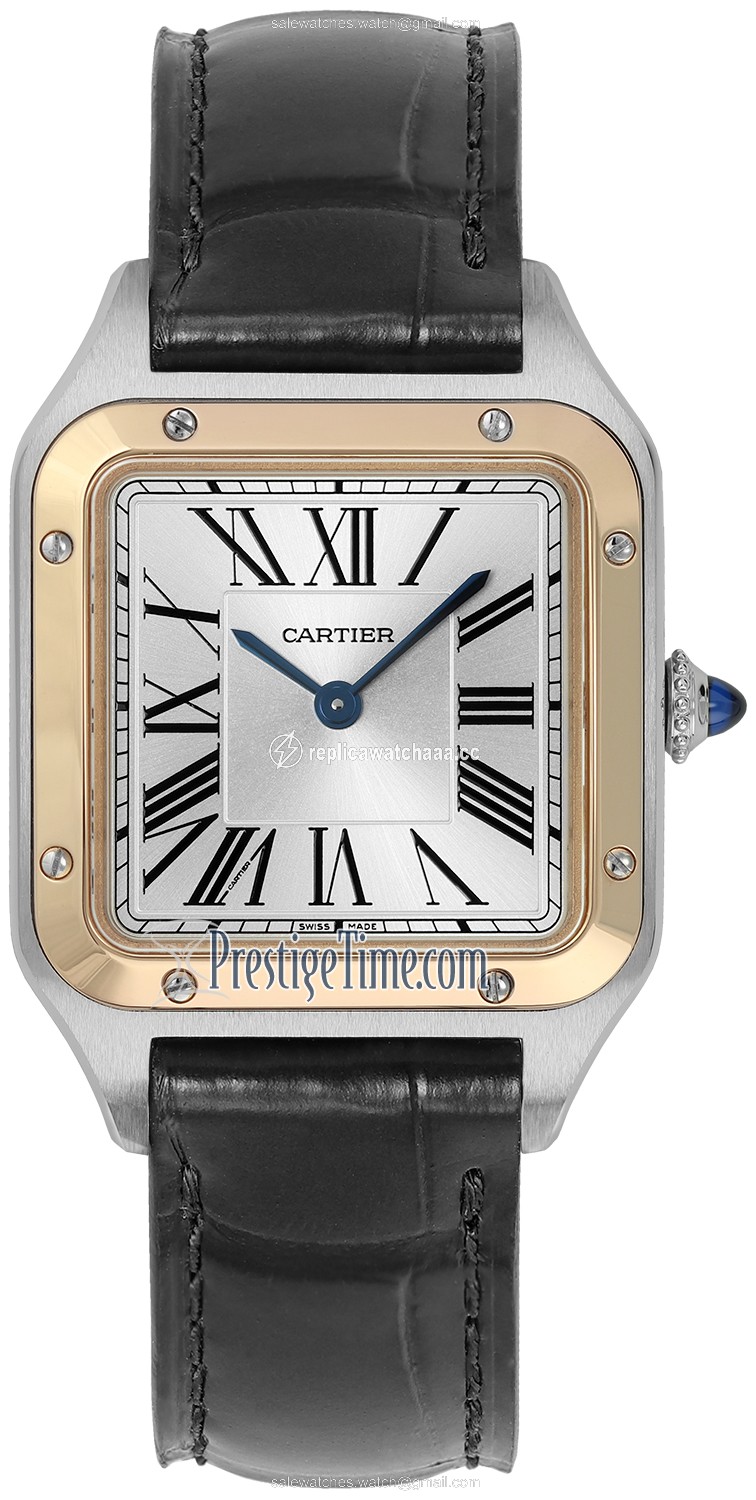 w2sa0012 Cartier Santos Dumont Small Ladies Watch w2sa0012 Cartier Santos Dumont Small Ladies Watch